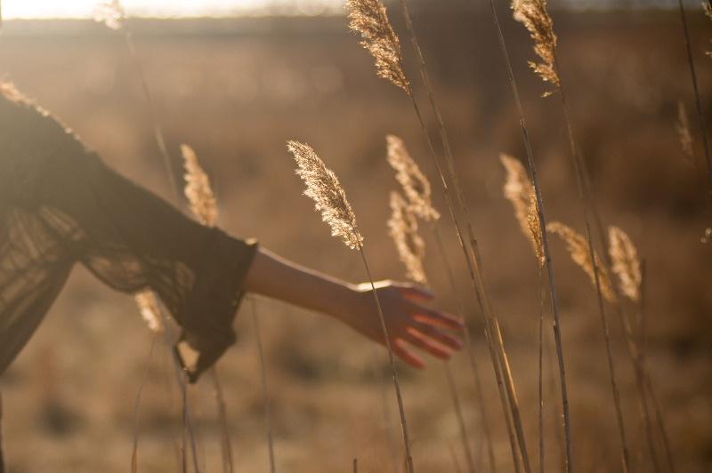 Acupuncture for Hay Fever